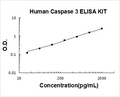 Human Caspase 3 PicoKine ELISA Kit standard curve