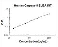 Human Caspase 8 PicoKine ELISA Kit standard curve