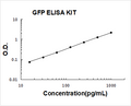 GFP PicoKine ELISA Kit standard curve
