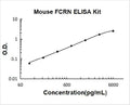 Mouse FCRN/FCGRT PicoKine ELISA Kit standard curve