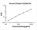 Human Fibulin-3/EFEMP1 PicoKine ELISA Kit standard curve
