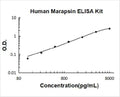 Human Marapsin/Pancresin PicoKine ELISA Kit standard curve