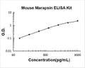Mouse Marapsin/Pancresin PicoKine ELISA Kit standard curve