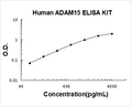 Human ADAM15 PicoKine ELISA Kit standard curve