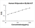 Human R-Spondin-4 PicoKine ELISA Kit standard curve