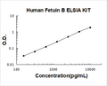 Human Fetuin B PicoKine ELISA Kit standard curve
