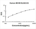 Human BCHE PicoKine ELISA Kit standard curve