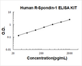 Human R-Spondin-1 PicoKine ELISA Kit standard curve