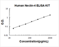 Human Nectin-4 PicoKine ELISA Kit standard curve