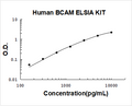 Human BCAM PicoKine ELISA Kit standard curve