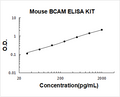 Mouse BCAM PicoKine ELISA Kit standard curve