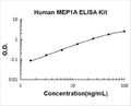 Human MEP1A ELISA Kit PicoKine standard curve