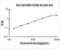 Rat NCAM1/CD56 PicoKine ELISA Kit standard curve