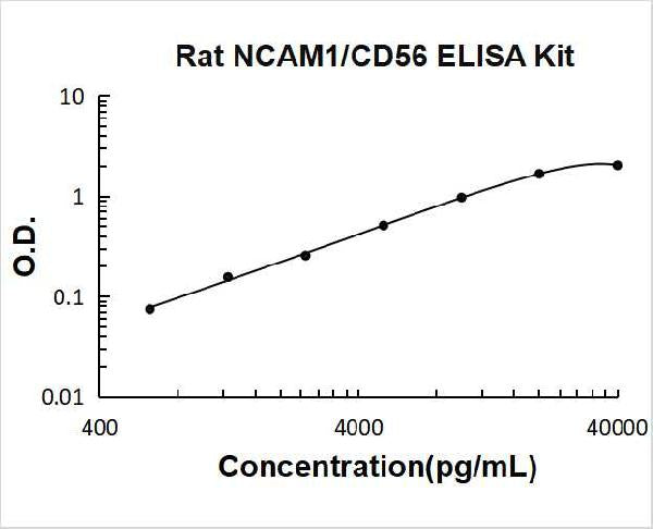 Rat NCAM1/CD56 PicoKine ELISA Kit standard curve