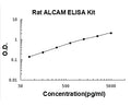 Rat ALCAM PicoKine ELISA Kit standard curve