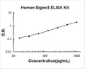 Human Siglec5 PicoKine ELISA Kit standard curve
