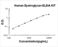 Human Dystroglycan PicoKine ELISA Kit standard curve
