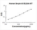Human  Serpin A5 PicoKine ELISA Kit standard curve