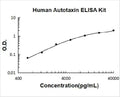 Human Autotaxin PicoKine ELISA Kit standard curve