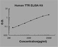 Human Transthyretin/TTR PicoKine ELISA Kit standard curve