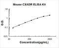 Mouse CXADR PicoKine ELISA Kit standard curve