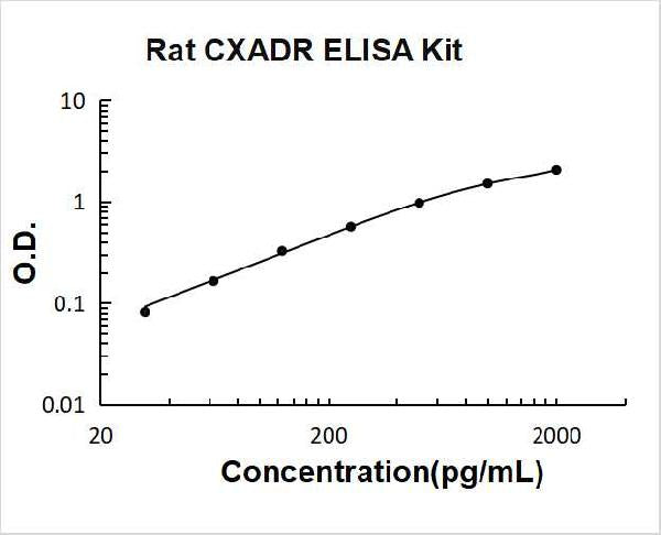 Rat CXADR PicoKine ELISA Kit standard curve