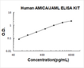 Human AMICA/JAML PicoKine ELISA Kit standard curve