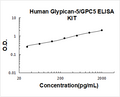 Human Glypican-5/GPC5 PicoKine ELISA Kit standard curve