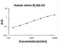 Human ckmm PicoKine ELISA Kit standard curve