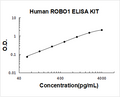 Human ROBO1 PicoKine ELISA Kit standard curve