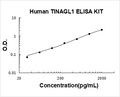 Human TINAGL1 PicoKine ELISA Kit Standard Curve