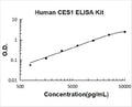Human CES1 PicoKine ELISA Kit standard curve