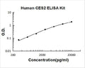 Human CES2 PicoKine ELISA Kit standard curve