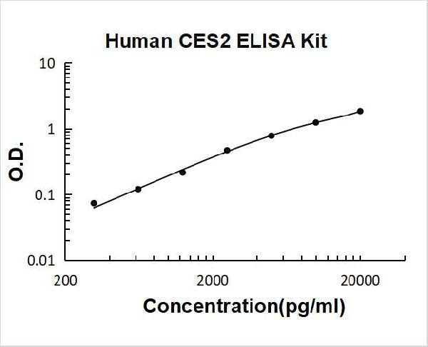 Human CES2 PicoKine ELISA Kit standard curve