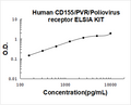 Human CD155/PVR PicoKine ELISA Kit Standard Curve