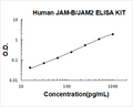 Human JAM-B/JAM2 PicoKine ELISA Kitstandard curve