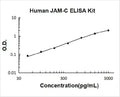 Human JAM-C PicoKine ELISA Kit standard curve