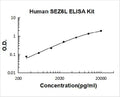Human SEZ6L PicoKine ELISA Kit standard curve