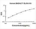 Human B4GALT1 PicoKine ELISA Kit standard curve