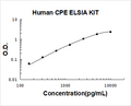 Human CPE PicoKine ELISA Kit standard curve
