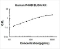 Human P4HB PicoKine ELISA Kit standard curve