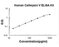 Human Cathepsin V PicoKine ELISA Kitstandard curve