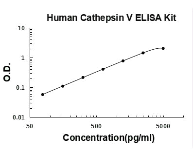 Human Cathepsin V PicoKine ELISA Kitstandard curve