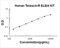 Human Tenascin-R PicoKine ELISA Kit Standard Curve