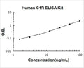 Human C1R PicoKine ELISA Kitstandard curve