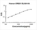 Human CREG1 PicoKine ELISA Kitstandard curve