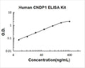 Human CNDP1 PicoKine ELISA Kitstandard curve