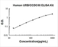 Human URB/CCDC80 PicoKine ELISA Kit Standard Curve