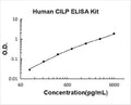 Human CILP PicoKine ELISA Kit Standard Curve