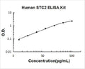 Human STC2 PicoKine ELISA Kit Standard Curve